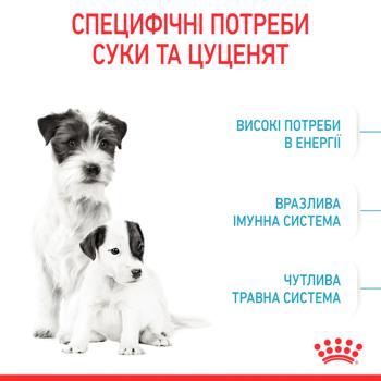 Корм сухий Royal Canin Mini Starter з домашньою птицею для цуценят мініатюрних порід 1кг - купити, ціни на MasterZoo - фото 2