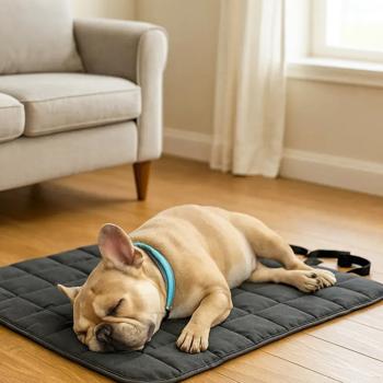 Килимок Pet Fun Water Proof 60х80см сірий - купити, ціни на MasterZoo - фото 3