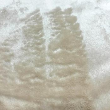 Pet Fun набір для собак 70х100 см - різнокольоровий - купити, ціни на MasterZoo - фото 3