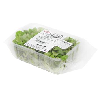 Salad mung Without brand 75g Ukraine - buy, prices for NOVUS - photo 1