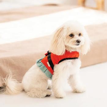 Pet Fashion Monika Harness for Dogs s.XXS - buy, prices for MasterZoo - photo 2