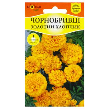 Насіння Багатий Врожай Чорнобривці Золотий хлопчик 0,3г - купити, ціни на КОСМОС - фото 1