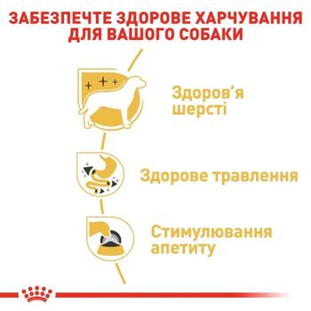 Корм влажный Royal Canin Adult с домашней птицей для собак породы чихуахуа 9+3шт*85г - купить, цены на MasterZoo - фото 7