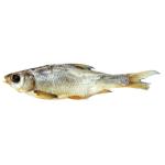 Dried Caspian Roach with Caviar