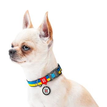 Waudog Nylon Dog Collar with QR Passport 23-35cm/15mm with Colors of Freedom Pattern - buy, prices for MasterZoo - photo 4