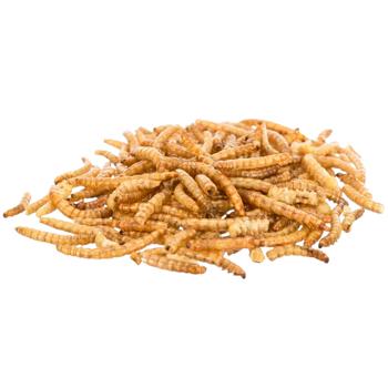 Trixie Mealworms ласощі для гризунів 70 г - хрущак - купити, ціни на MasterZoo - фото 2