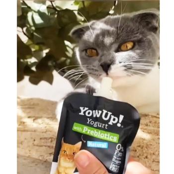 YowUp Yogurt Natural Cat йогурт для котів 85 г - пребіотики - купити, ціни на MasterZoo - фото 3