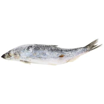 UFC Frozen Lightly Salted Headless Matias Herring 5/7