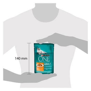 Purina One Adult Wet Food with Chicken and Green Beans for Cats 85g - buy, prices for METRO - photo 2