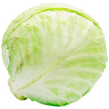 White Cabbage