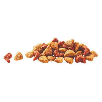 Purina One DualNature Dry Food with Chicken and Spirulina for Cats 1.4kg - buy, prices for MasterZoo - photo 4