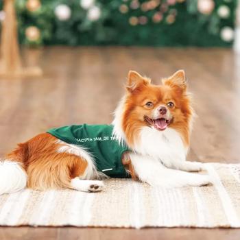 Pet Fashion Kale борцівка для собак L - купити, ціни на MasterZoo - фото 3