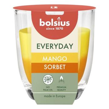 Bolsius  Gingerbread Scented Candle 8х7cm - buy, prices for NOVUS - photo 1