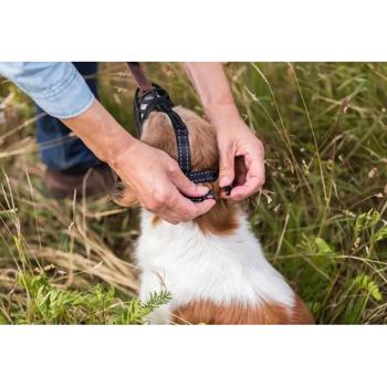 Trixie Muzzle Flex Silicone Muzzle XL-XXL 39cm Black - buy, prices for MasterZoo - photo 5