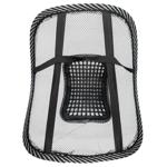 Lumbar Massager in the Car