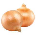 Vegetables onion napiform fresh