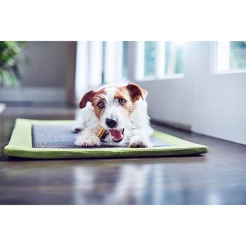 Ласощі для собак Purina DentaLife жувальні палички для малих порід 115г - купити, ціни на КОСМОС - фото 6