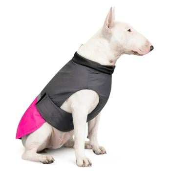 Pet Fashion Roy Body-Cloth for Dogs s.2XL Raspberry-gray - buy, prices for MasterZoo - photo 2