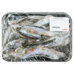 Freshly Frozen Capelin