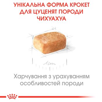 Корм сухой Royal Canin с домашней птицей для щенков породы чихуахуа 1,5кг - купить, цены на MasterZoo - фото 4