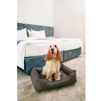 Harley and Cho Dreamer Gray Pet Bed 90x60cm - buy, prices for MasterZoo - photo 5