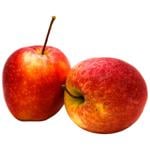 Metro Chef Gala Apple