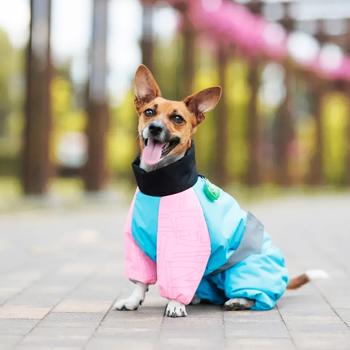 Комбінезон для собак Pet Fashion Milly M-L - купити, ціни на MasterZoo - фото 6