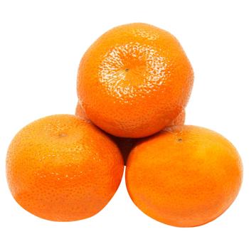 fruit mandarin Without brand fresh Turkey