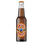 Пиво Newcastle Brown Ale полутемное 4,7% 0,33л