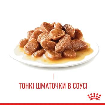 Royal Canin Care Light Weight Wet Food for Overweight Cats 85g - buy, prices for MasterZoo - photo 3