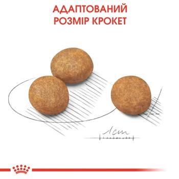 Корм сухий Royal Canin для цуценят великих порід 3,2+800г - купити, ціни на MasterZoo - фото 7