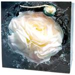 Пакет подарунковий Art studio of Happines GB-24172 35х37х12см