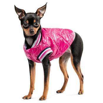 Pet Fashion Grace Bomber Jacket for Dogs s.XS - buy, prices for MasterZoo - photo 2