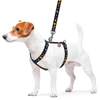 Waudog Nylon H-Shaped Harness for Dogs with QR Passport 40-70cm/20mm with Nasa Design - buy, prices for MasterZoo - photo 2