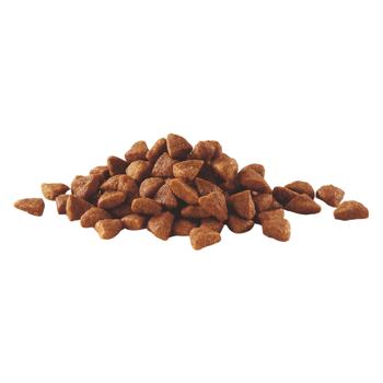Сухий корм Purina ONE Sterilcat для кастрованих котів/стерилізованих кішок З лососем та пшеницею 800г - купити, ціни на - фото 2