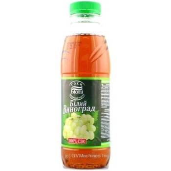 Juice "erlan" pjsc white grapes 500ml plastic bottle Ukraine - buy, prices for NOVUS - photo 3