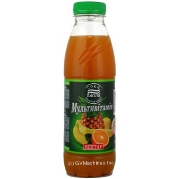 Nectar "erlan" pjsc fruit 500ml plastic bottle Ukraine - buy, prices for NOVUS - photo 4