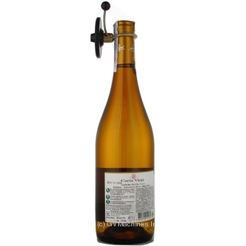 Вино Carta Vieja Chardonay біле сухе 0.75л х6 купить, цены на МегаМаркет - фото 5