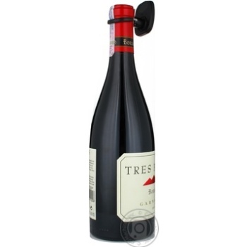 Wine Borsao Tres picops red dry 14.5% 2006year 750ml Spain - buy, prices for MegaMarket - photo 5
