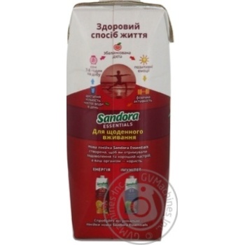 Sandora Essentials immunity Energy nectar 500ml - buy, prices for MegaMarket - photo 4