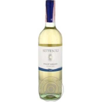 Wine pinot grigio white dry 13% 750ml glass bottle Italy - buy, prices for MegaMarket - photo 1