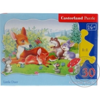 Іграшка-пазл Castorland 30 казки купити, ціни на МегаМаркет - фото 1