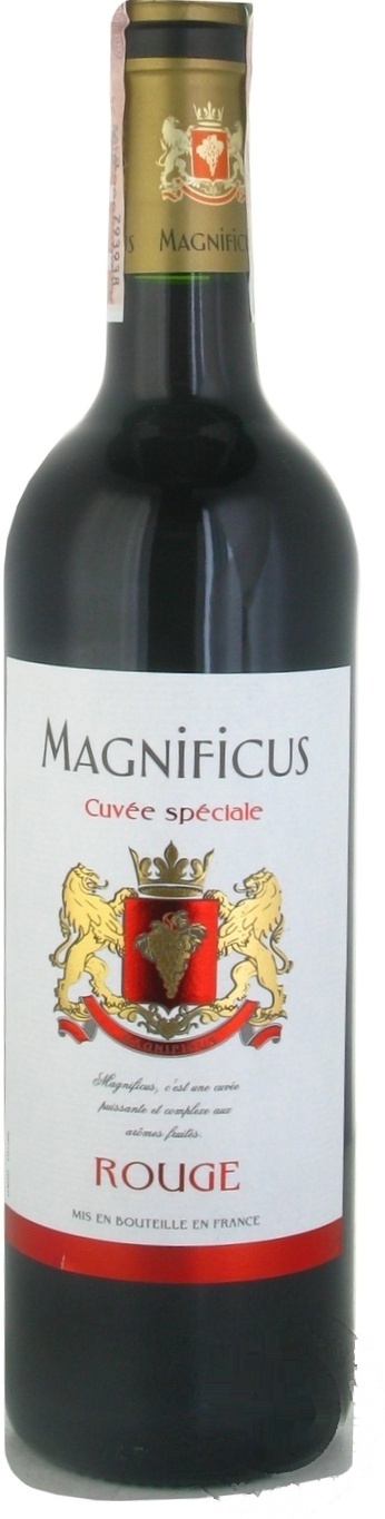 

Вино Magnificus Rouge красное сухое 11% 0,75л