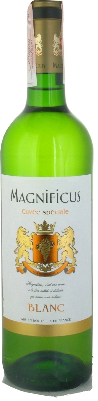 

Вино Magnificus Blanc белое сухое 11% 0,75л