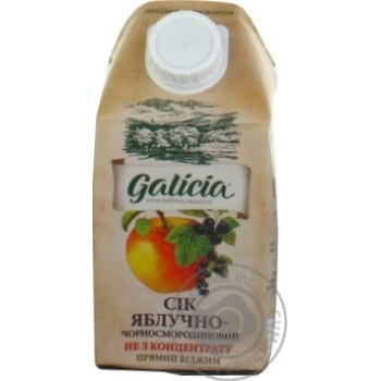 Сік Galicia яблучно-чорносмородиновий 0,5л купити, ціни на МегаМаркет - фото 1