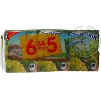 Set Sadochok apple-vine 1200ml tetra pak - buy, prices for MegaMarket - photo 1
