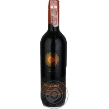 Wine red dry 14% 750ml glass bottle Italy - buy, prices for MegaMarket - photo 1