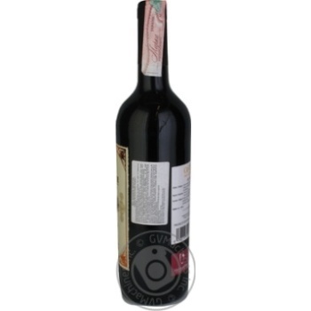 Wine red dry 13% 750ml glass bottle Spain - buy, prices for MegaMarket - photo 3