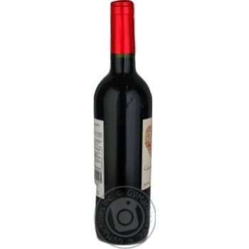 Wine red dry 13% 750ml glass bottle Spain - buy, prices for MegaMarket - photo 4