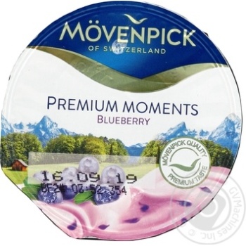 Йогурт Mövenpick Premium Moments Чорниця 5% 100г купити, ціни на МегаМаркет - фото 1